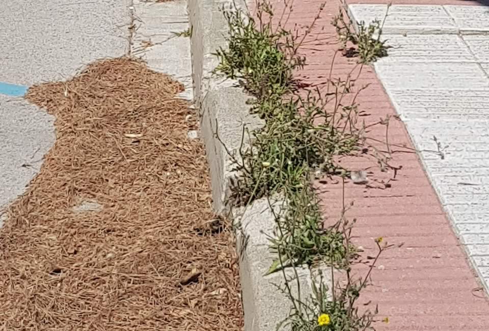 Associació Veïns Paratge Sant Pol-S'Agaró - Notícies - La brutícia al Paratge de Sant Pol tapa embornals